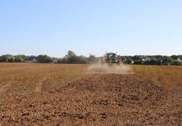 « Le déchaumage après moisson est l'un des leviers déjà pas mal pratiqué mais j'encourage l'utilisation de houe rotative ou de herse
étrille », insiste Alexis Villeneuve, conseiller référent grandes cultures chez Littoral Normand.