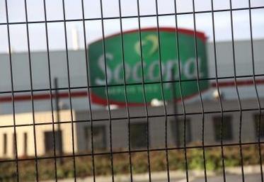 La fin de l'abattage de porcs dans l'Eure est une des conséquences de la baisse de production à l'échelon régional.