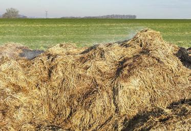 Les effluents d’élevage (fumiers et lisiers...) comportent des éléments fertilisants et de la matière organique nécessaires au sol
et aux cultures.