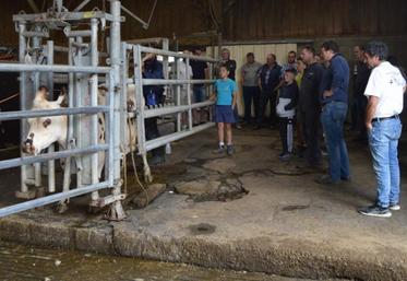 Dans l'après-midi, les participants ont vu une démonstration de l'eye breed.