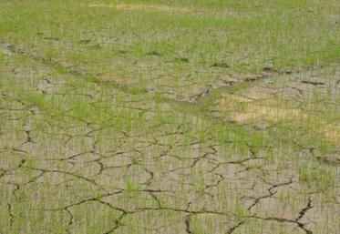 La couverture du territoire n'est pas homogène et l'appétence est plus ou moins forte selon les zones et les productions.