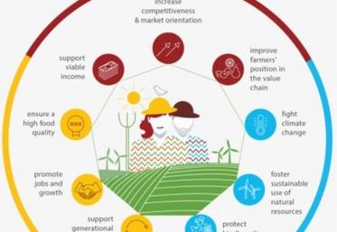 La politique agricole commune a subi plusieurs vagues
de réformes, afin d’adapter la politique à un monde en mutation