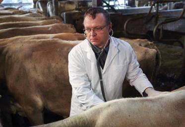 Les vétérinaires s’inquiètent de l’augmentation du niveau scolaire et technique des agriculteurs qui, maîtrisant bien la conduite de leur élevage, font parfois moins appel à eux, le vétérinaire étant un ultime recours.