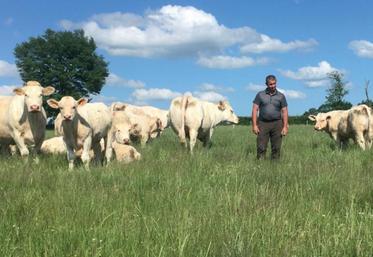 Thierry Préaud : « avec le pâturage tournant, j’ai diminué la consommation d’aliment de 90 kg par broutard entre la mise à l’herbe et la vente, sans détériorer les GMQ »