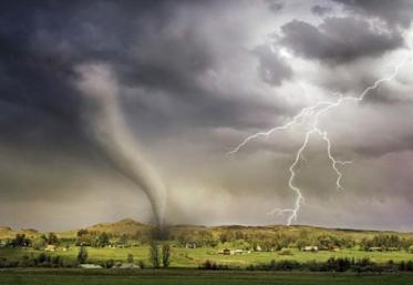 Des pertes de plus en plus importantes sont à déplorer en raison des catastrophes naturelles climatiques.