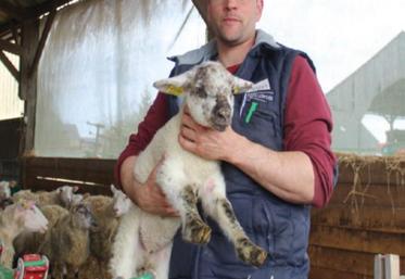 Christophe Guicheux, éleveur d'ovins à la Ferme d'Illièvre, à Sylvains-les-Moulins.