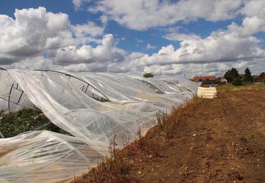 Cultures légumières détruites et serres éventrées à Martot, un triste spectacle que sont venus constater les représentants de l’Etat. Le premier chantier est d’établir un état des lieux le plus exhaustif possible. N’hésitez pas à contacter la FNSEA 27 pour plus de précisions.