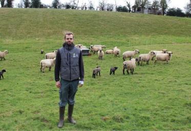 Les agnelages se succèdent chez les Mary depuis plusieurs jours.