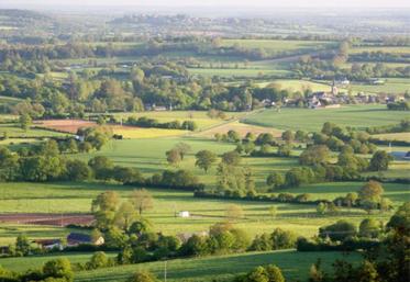 Des prairies bien exploitées et un bocage paysagé.