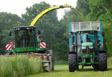 Une fois les méteils associant céréales et protéagineux récoltés en ensilage, la prairie est déjà bien implantée et prête à pousser sur la fin de printemps.