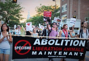 Manifestation d’antispécistes dans la rue.