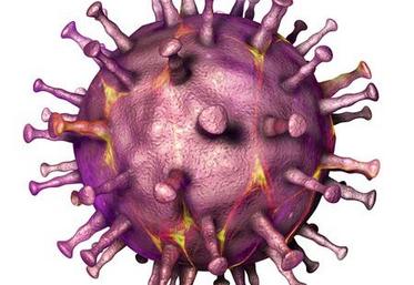 Virus de la peste porcine africaine, illustration 3d. adn virus enveloppé