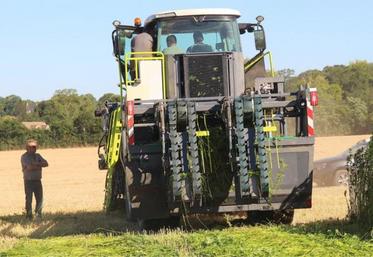 L'automotrice de fauchage est calibrée pour une sole de 300 hectares. Au poste de pilotage, Hugo Ozenne, employé de la coopérative et en charge du dossier « chanvre ». Il est en relation permanente avec Niels Baert (concepteur de la machine) pour optimiser son utilisation et apporter les dernières améliorations.
