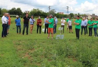 Les membres des JA 27 ont présenté les cultures de leur class'Eure végétal aux élus lors de l'inauguration.