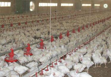 La grippe aviaire 2021-2022, avec plus de 600 cas confirmés et
plus de 5 millions de volailles abattues, a d’ores et déjà dépassé celle de 2020-2021.