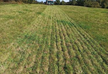 Les mélanges ont été semés en octobre avec un outil de semis direct.