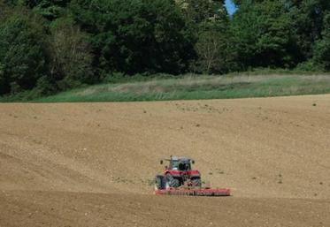 « En 2020, le prix de la production végétale hors subvention
rebondit : +2,5 % », souligne l’Insee.