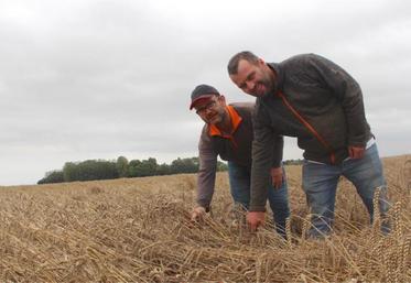 Rémi Stichelbout et Amaury Levesque. Pour le président de la FNSEA 27, le sourire n'est que de façade car la qualité des blés qu'il reste à battre risque de payer un lourd tribut à l'excès d'humidité.