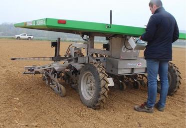 Le robot danois FarmDroid FD 20 est alimenté par des batteries
électriques rechargées à l'aide de panneaux solaires et pouvant assurer
jusqu'à 24 heures de fonctionnement.