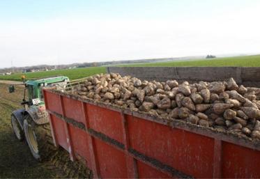 Qu’il s’agisse de grandes cultures, de la betterave ou des protéagineux, toutes les filières attendent des mesures
d’aide d’urgence du gouvernement.