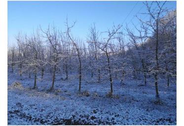 Le groupe de travail retient l'hypothèse d'une hausse rapide du taux de pénétration de l'assurance multirisque climat.