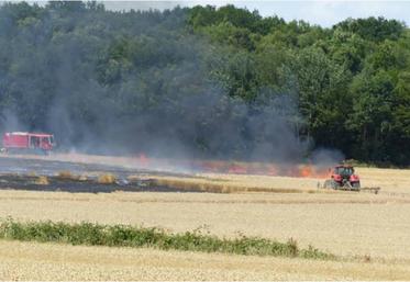 Il est conseillé d’éviter de moissonner aux heures les
plus chaudes, si les vents sont soutenus et d’entretenir quotidiennement les machines pour éviter les surchauffes.