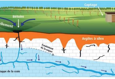 Illustration extraite de la Fiche « Protéger les bétoires »
de la Chambre d'agriculture de Seine-Maritime (2015).