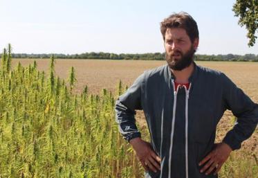 Damien Odienne, producteur de lait à Chamblac dans l’Eure. Il cultive 5 ha de chanvre technique et 5 ha de chanvre textile.