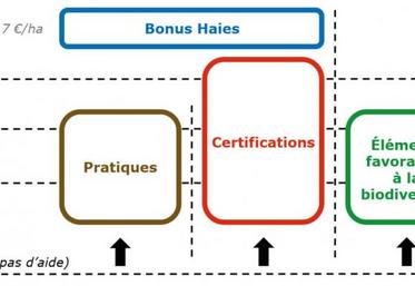 Les voies d'accès à l'écorégime et leurs niveaux de paiement.
