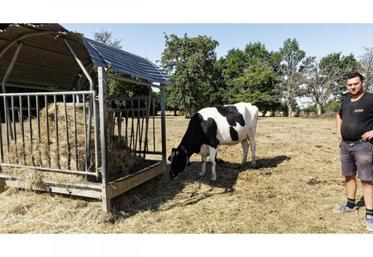 Damien Bois doit déjà "taper" dans ses stocks de fourrage pour alimenter ses bovins