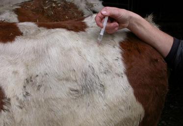 Privilégier avant la vente, le contrôle des maladies non règlementées.