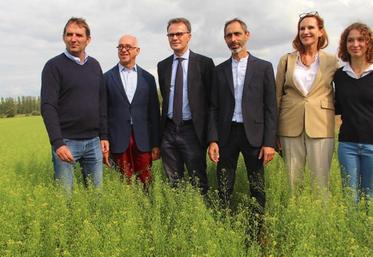 Le 29 août dernier, Fabrice Moulard (avec à ses côtés sa fille Marie) a reçu sur son exploitation pour une visite de parcelle Damien Cazé (directeur général de l’Aviation civile) et Sandra Combet (secrétaire général de l’Observatoire de l’Aviation durable). Ils étaient accompagnés notamment de Gilles Robillard (président de Terres Inovia) et Stéphane Yrlès (secrétaire général d’Avril).