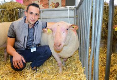 Sylvain Chaumont avec son bélier lors au SIA 2019.