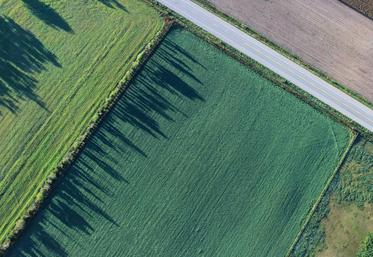 Un manque d’harmonisation des marchés fonciers européens.