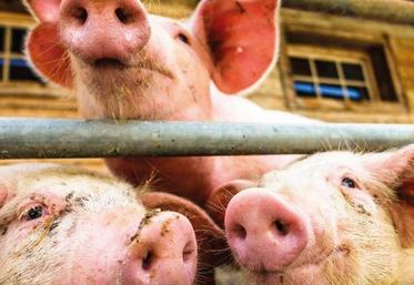 Un seuil d'entrée fixé à 150 UGB (unité de gros bétail)