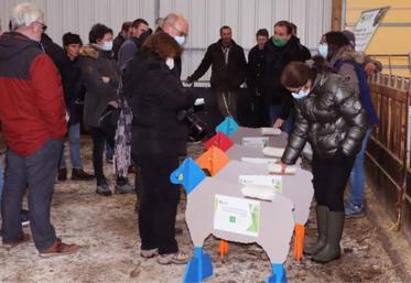 A la journée portes ouvertes organisée par la Chambre d'agriculture de Normandie et Inn'ovin, jeudi 25 novembre à Notre-Dame-du-Hamel (27), Claire Douine, conseillère en productions ovines à la Cran, anime un atelier sur le tri des agneaux selon leur stade de finition.