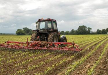 Les herbicides à base de S-Métolachlore, très utilisés en
maïs, connaissent des restrictions d'usage.