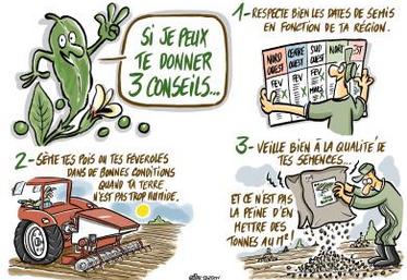 Trois conseils pour réussir son implantation.