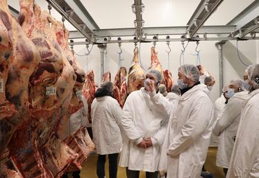Depuis une dizaine d'années, les agriculteurs du syndicat de race Charolais de l'Orne apporte des bêtes aux Éleveurs de la Charentonne.