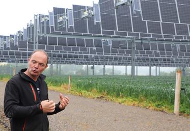 Yoann Bizet s'est lancé dans l'aventure agrivoltaïque pour le bien-être de ses vaches, en pâturage. Sur une parcelle de 6 ha, des tests sont conduits par la société TSE pendant neuf ans.