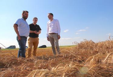 Amaury Levesque (président de la FNSEA 27),  Jérôme Charpentier (président de Sevépi) et Simon Babre (préfet de l'Eure) ont réalisé le 6 août un tour de plaine pour faire le constat d'une moisson 2024 qui nécessite des mesures de soutien de la part de l'Etat.