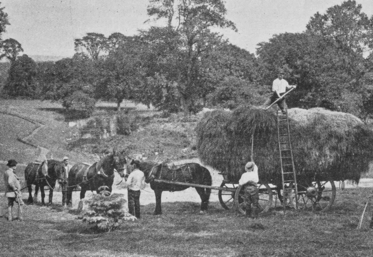 Depuis 1913, la culture du blé en France a « diminué de plus d'un million d'hectares : 6 500 000 hectares à cette date, 5 400 000 aujourd'hui ".