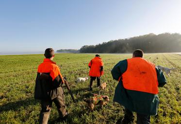 70 % des chasseurs déclarent participer bénévolement à des actions en faveur des milieux naturels.