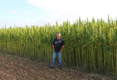 "Sur 150 ha, je cultive actuellement 5 ha de chanvre. Mon objectif est de monter à 10 % de ma surface totale. C'est le maximum que je peux faire", indique Jérôme Mottey.