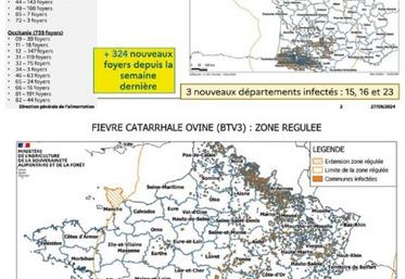 Foyers de MHE par département au 26/09/2024