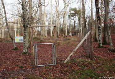 Les clôtures autorisées devront répondre de certaines caractéristiques, notamment en terme de hauteur. Les clôtures trop hautes devront être enlevées.