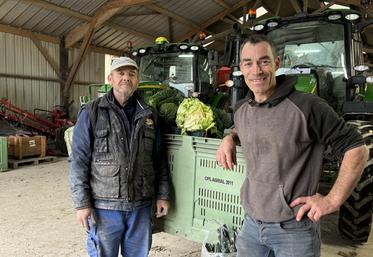 Sylvain Massin embauche jusqu'à 7 travailleurs saisonniers pour son exploitation maraîchère.