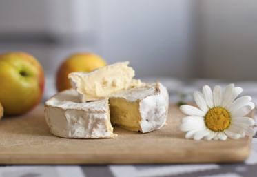Un fromage doit respecter des exigences strictes pour obtenir l'AOP Camembert de Normandie.