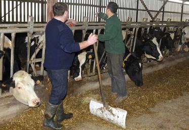 L'accès au foncier est un enjeu crucial pour favoriser l'installation en agriculture.