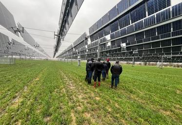 La canopée agrivoltaïque, projet pilote unique en Normandie, permettra de comparer le comportement du troupeau avec une parcelle témoin sans panneau. 